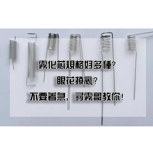 成品芯種類差在哪？懶人也能挑對的終極選購指南